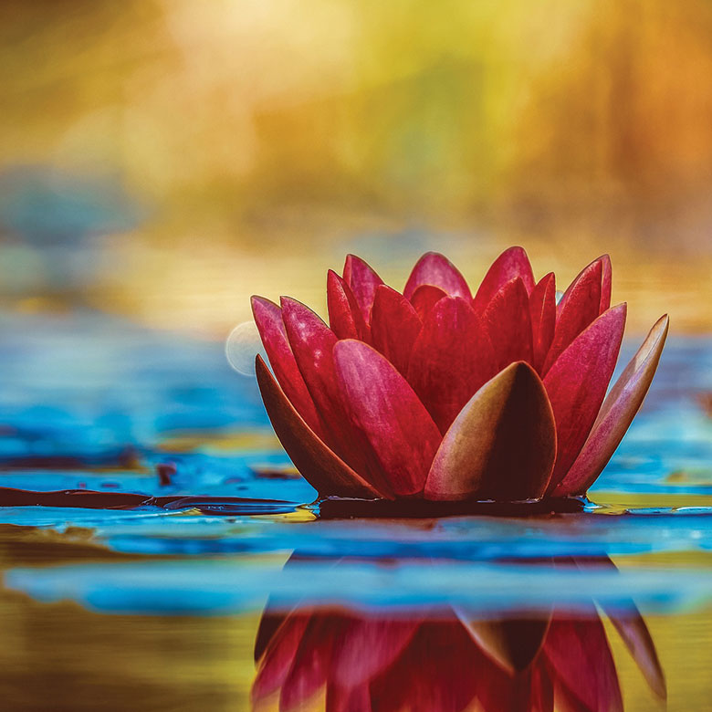 connection connection